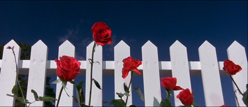 Best shot in cinematic history